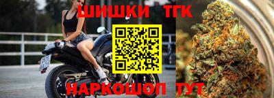крисы Шебекино