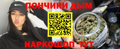 крисы Шебекино