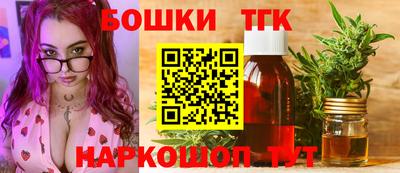 крисы Шебекино