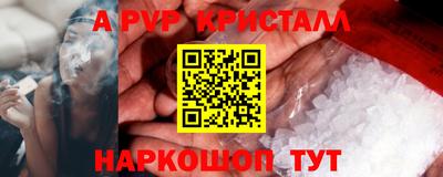 крисы Шебекино