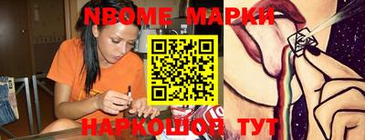 крисы Шебекино