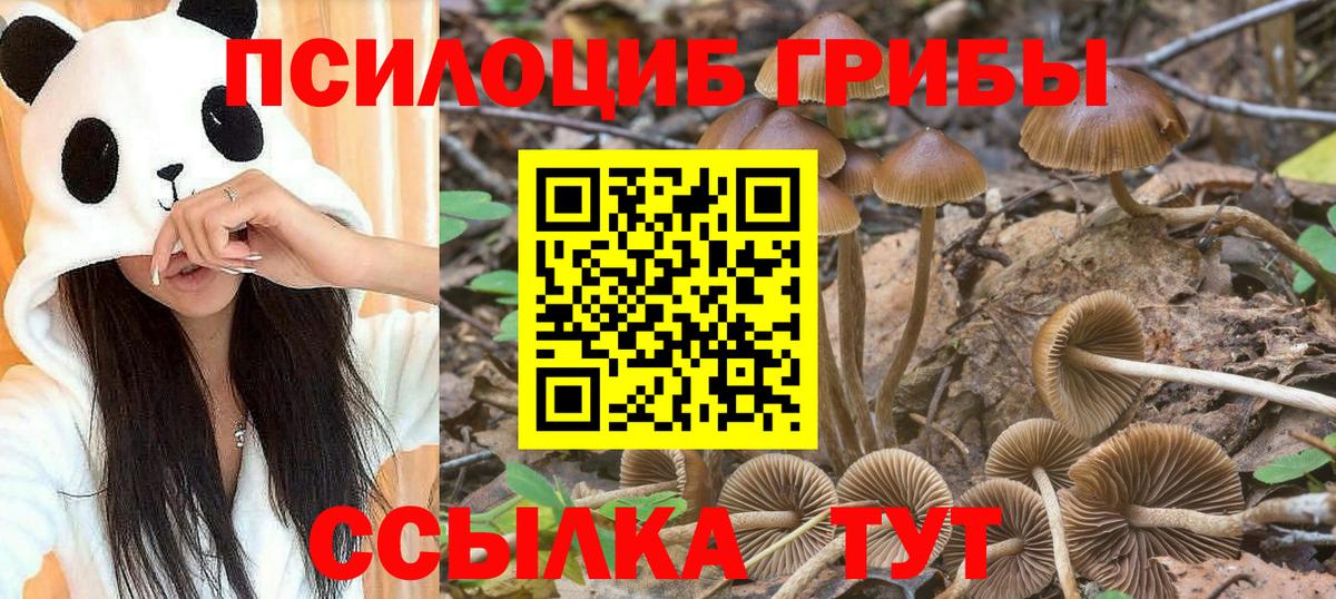 Галлюциногенные грибы Cubensis Борисоглебск