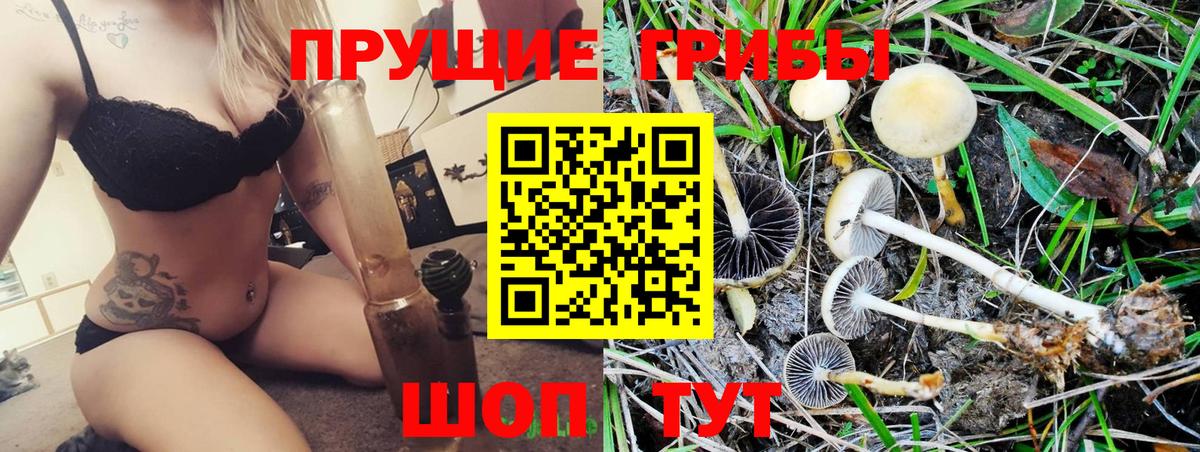 Галлюциногенные грибы ЛСД  Псилоцибиновые грибы GOLDEN TEACHER  Борисоглебск  Вход с VPN 